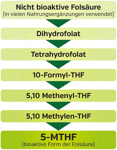 Vitamín B9 - Bioaktívna kyselina listová, sublingual