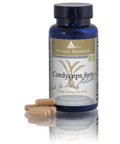Cordyceps forte - Dong Chong Xia Cao