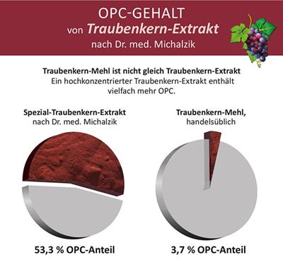OPC Premium extrakt z hroznových jadier (450 mg s obsahom 240 mg čistého OPC a vitamínom C)